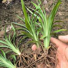 ����� �^���ݳ��G�������ͥԺ�G������ֲ��ر��Gֲ�҃�������