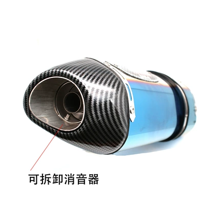 Motorcycle exhaust pipe: exhaust pipe full carbon