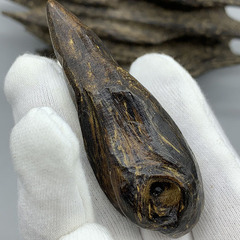 達拉干蟲漏沉香隨型吊墜老料油性豐富藥香味清甜手把件收藏送禮