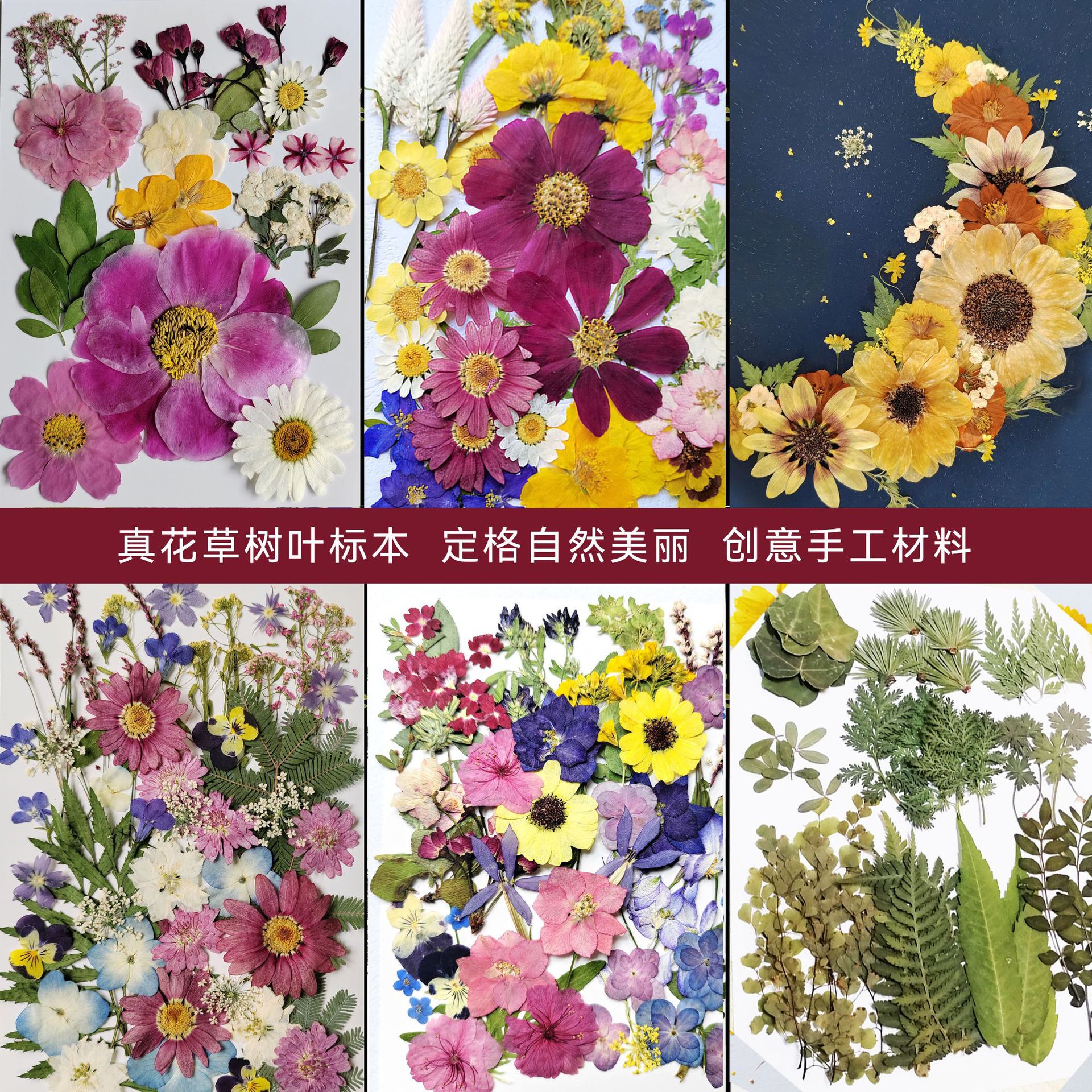 DIY materials kit for pressed and dried flowers, real flowers, leaves, and plants; epoxy resin fan; lamp; bookmark; greeting card; notebook