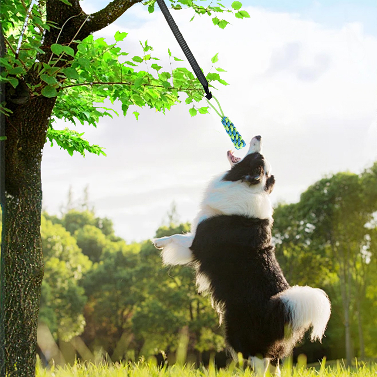 Durable Dog Rope Toy For Interactive Chewing And Teeth Cleaning_voghion.com