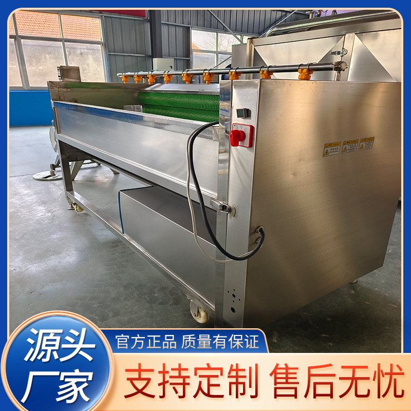 花生胡萝卜清洗机 生姜毛辊去皮清洗机器 多功能根茎类清洗设备
