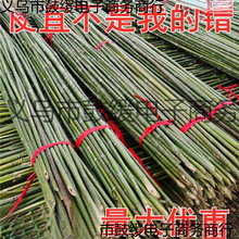 ����Ӵ�ܲˈ@С���ⶹ���S����U֧���ٗU�N�羳���l����