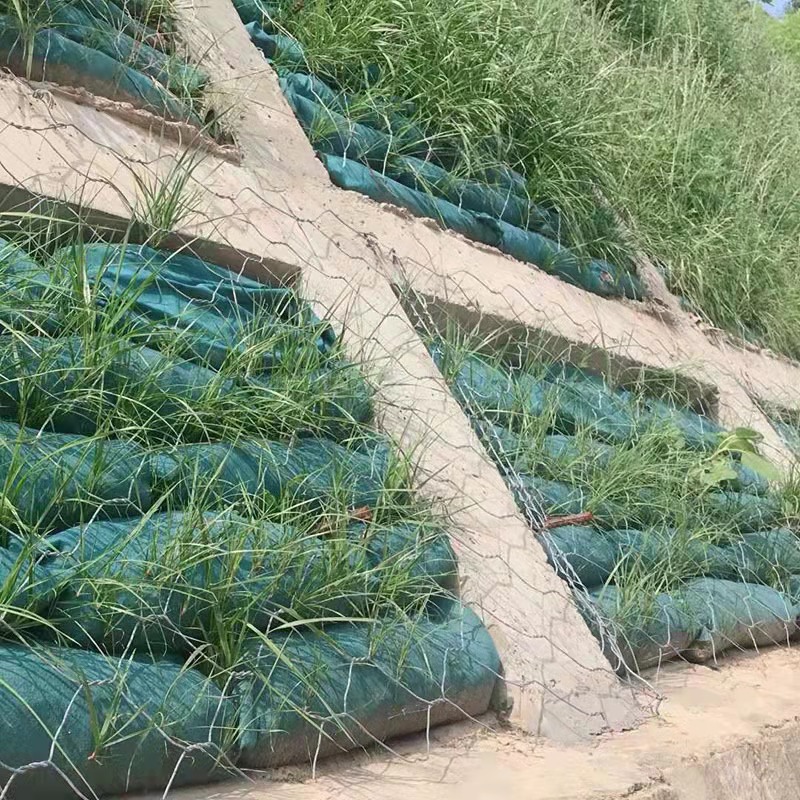 公路边坡绿化40*60生态袋河道护坡 荒山矿山修 …