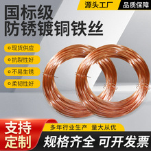 �S��ֱ�����|��~�F�zҎ���Rȫ��\��~�z�F؛��ι���Ӳ�z���F�z