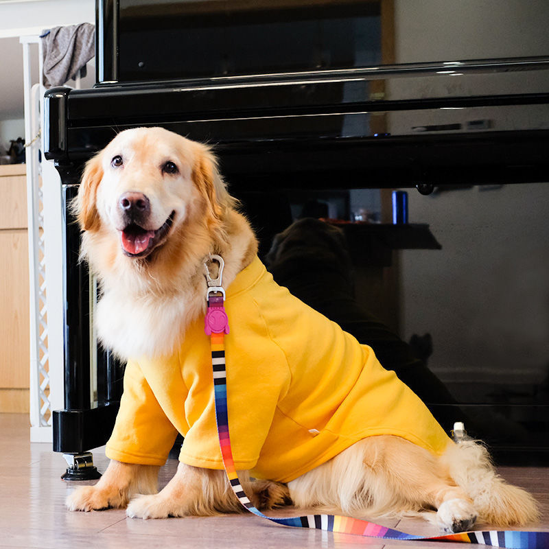 犬服金毛服春秋薄型ラブラドサモエ大型犬ペット保温大型犬秋冬服|undefined