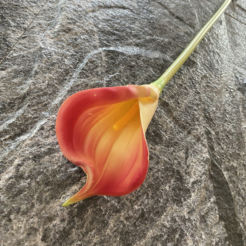 진한 콩 페이스트