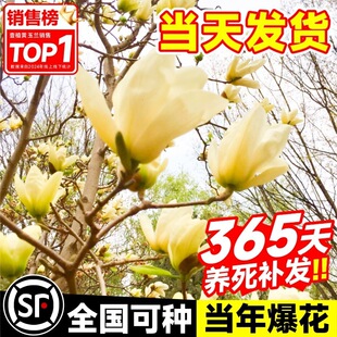 �S���m�����玧��������ͺ��S���mֲ��ͥԺ�����ļ��_���G������