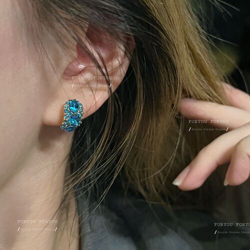 Chic and Minimalist Spring Earrings with Korean Design - Cold Brew Blue High-End Minority Style Ear Studs