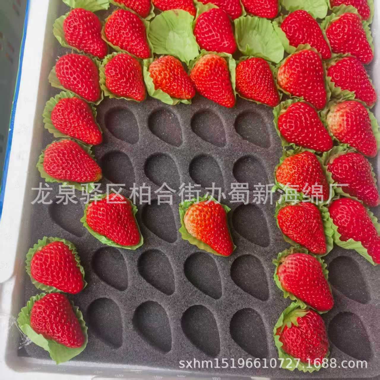 厂家供应草莓开孔海绵垫/草莓吸水海绵垫/草莓海绵