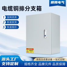电缆分接箱铜排分支T接转换箱分线箱JXT1楼层电缆接线端子分流箱