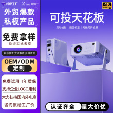 �羳˽ģͶӰ�x���ó�����4K��a����Ͷ�������yʽ�̨ͶӰ�C