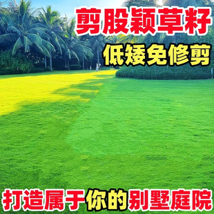 ���ɷfa4���ز�ƺ����ͥԺ�e���ļ����ఫ����Ƥ�N�����޼��Ͳ�̤
