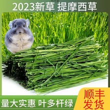 ��Ħ��24��������������؈ĥ��������ϱ���������ù��S���l