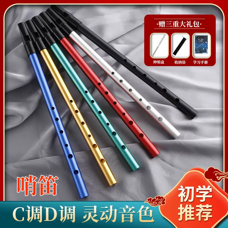 新品跨境乐器爱尔兰哨笛C调D调哨笛 学生用竖笛笛子短笛乐器