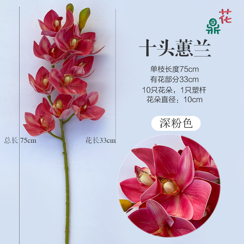 10 cymbidium cymbidium 어두운 핑크