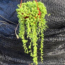 ˜Im\m\ 9cm茍Ď莧l؛