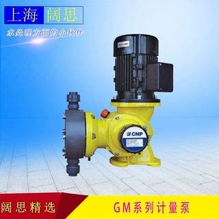 南方赛珀计量泵GM0025PQ1MNN絮凝剂加药计量泵 电动机械污水泵