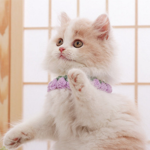 ����cos�b��ë��ᘿ�С؈���������ë����ˮ����ͨ�ɐۄ����Ȧ