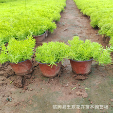 ���~��ײ݃r����픾G����ƺ��ײ�����~�S���ײ����A�������l