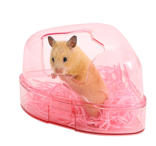 Bol wholesale large star bathroom bear bathroom hamster bathroom flower squirrel bathroom