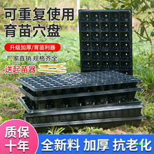 ������������Ӻ�Ǥ�����I�B������Pѿ��˺зNֲѨ�P���϶���