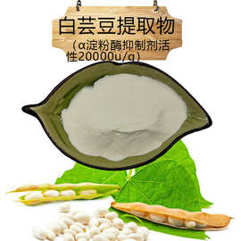 α淀粉酶抑制剂活性20000u/g白芸豆提取物厂家现货销售白芸豆粉