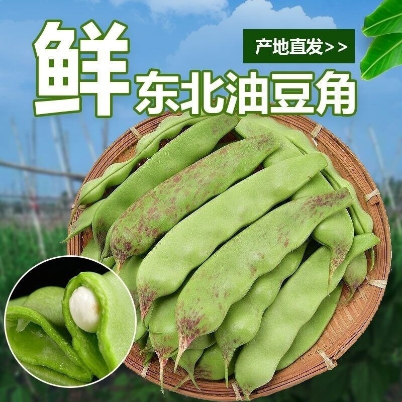 東北産油豆、新鮮な9月の緑豆、赤い油豆、農場で栽培された野菜、メーカーから発送|undefined