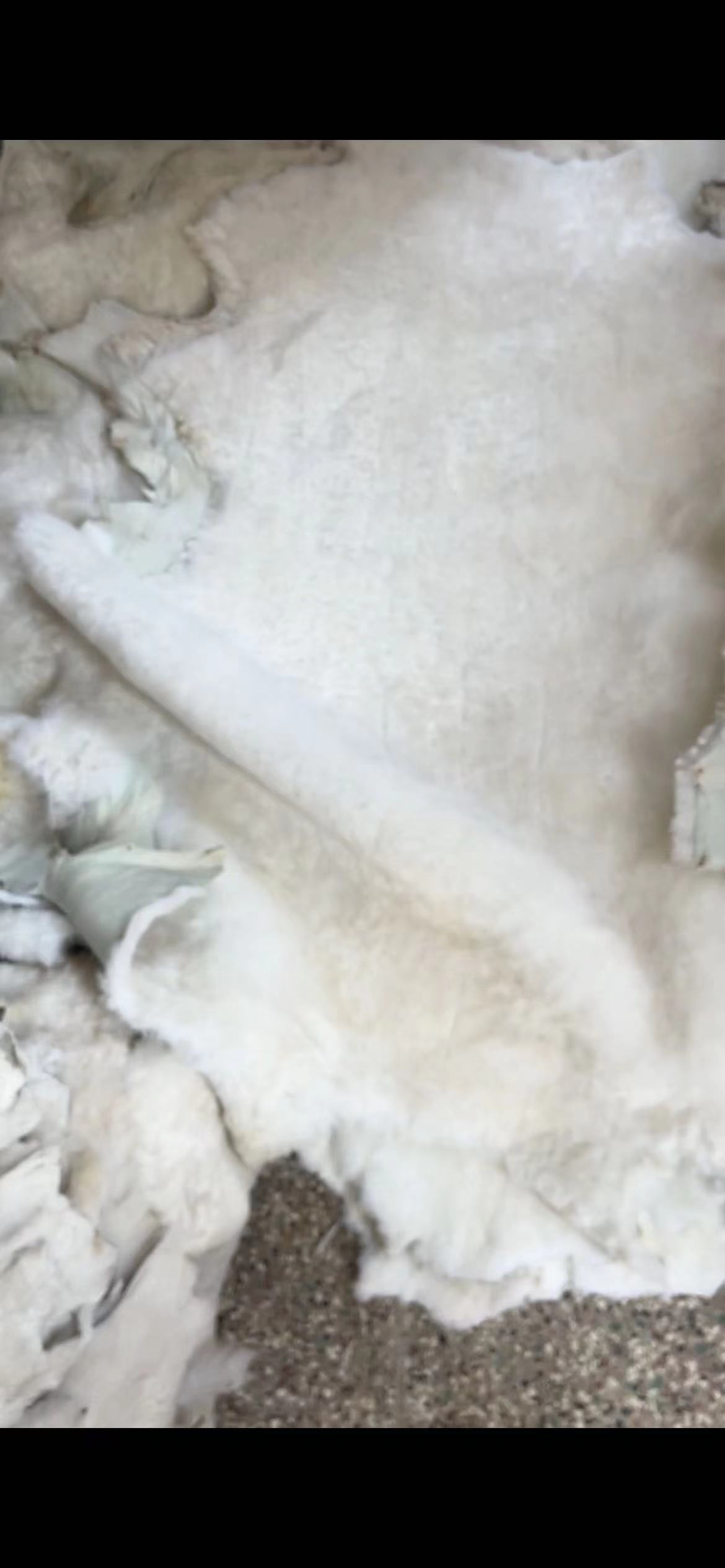 微信图片_20240623214202