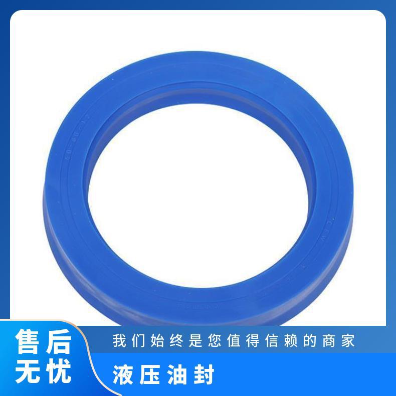 CFW SIMRIT 防尘圈 PT1型 耐高温,耐磨损耐腐蚀 密封件 德国/美国