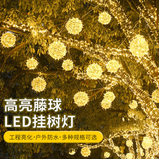 ����LED�b����A����l�������⾰�^����A��������չ��@