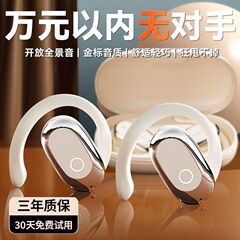 骨伝導式イヤホン、耳掛け型、非インイヤー、ワイヤレスBluetoothイヤホン、スポーツ用、2025年新モデル、充電式