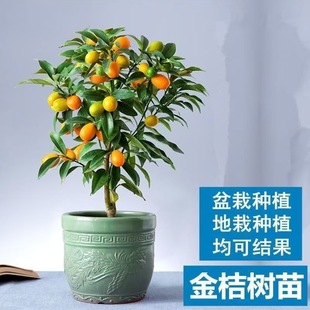 ��Ƥ��ۘ����Ե��Ԙ����ļ��_���Y����ʳ���ͺ����^����ۘ䎧��