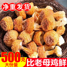 净重姬松茸干货无干燥剂批发特产姬松茸菌食用菌蘑菇煲汤批发