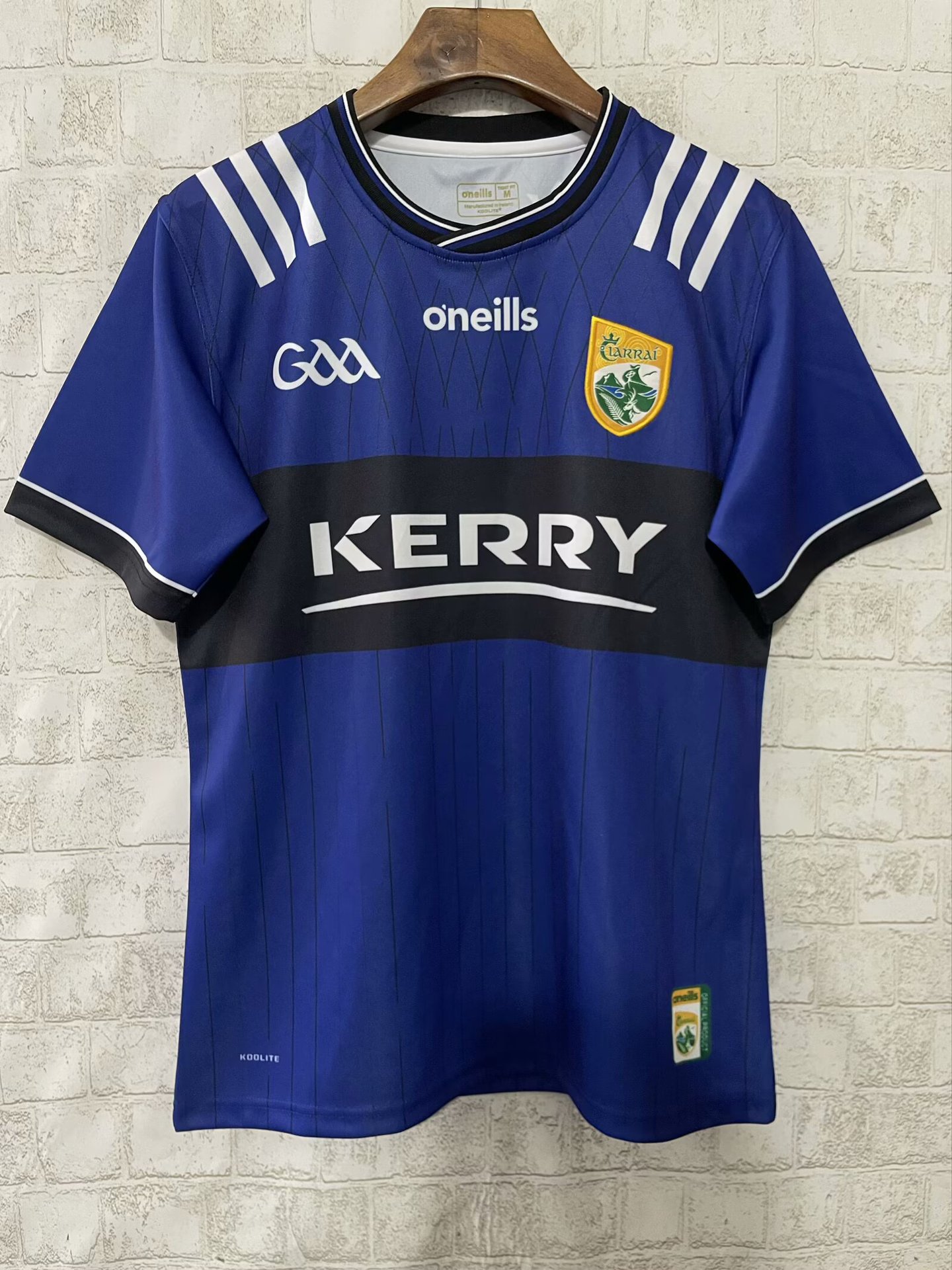2025 GAA 19