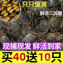з���rˮ�aëзС�з���lзʳ���r�������Sһ��з���r��ԪȺľ