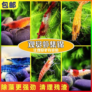 �ښ��r�ݸ׳�����w�����r�^�p�r�����r����r���wˮ�����坍�r