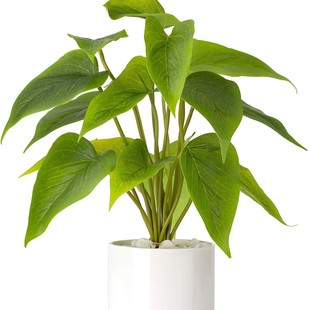 ���R�d���N�����R��ɏ�~���Է���Gֲ���^�~�辰�ָ�����~������