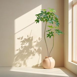 ����Gֲ�҃����Դ��~��͏d��������b[���߶��p�ݷ�����ֲ��