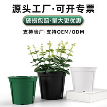 黑色控根青山盆批发月季种植花盆透气蝴蝶兰花盆塑料白色青山花盆