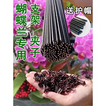 �����m��֧���m�A��֧�ΗUֲ�����ٻ��܏����̶������F�z֧�܈@ˇ