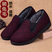 ϱЬŮӽqӺ˱ůЬܛ׷ƽ