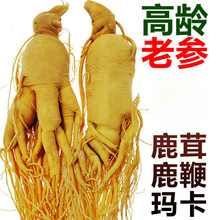 �˅���ș���ݾƌ����L��ɽ�˅��|���خa�r�˅���Ұɽ������