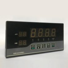 智能巡检仪LDDS-8S-19A上海上润仪表