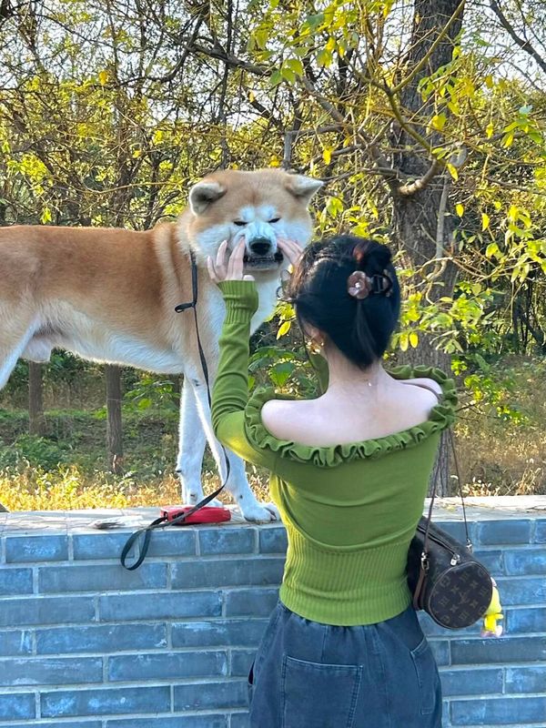 绿色立体玫瑰一字肩针织打底衫女秋冬季内搭毛衣短款纯欲露肩上衣|undefined