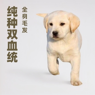 ���ۼ��N�pѪ�y��������Ȯ���w��Ȯ���ﹷ����Ȯ�������༃��С��