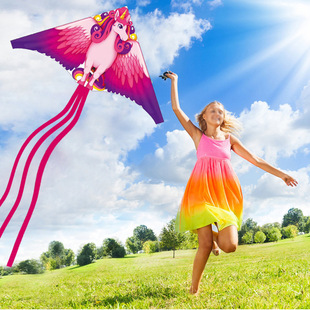 Amazon Specializes in Triangular Kites, My Little Pony Cartoon Kites, Easy to Fly in the Breeze, New Cartoon-Style Kites for Children