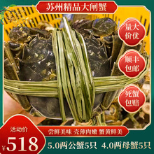 苏州精品鲜活大闸蟹5.0两公蟹5只+4.0两母蟹5只10只装