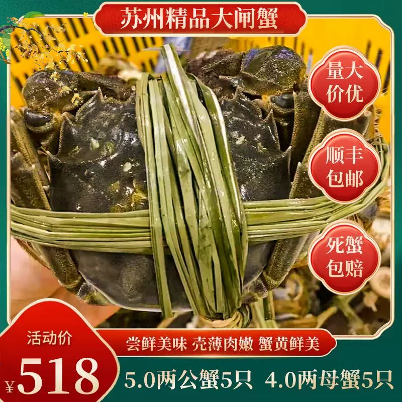 苏州精品鲜活大闸蟹5.0两公蟹5只+4.0两母蟹5只10只装