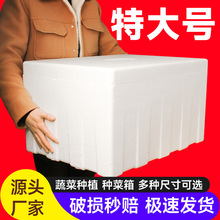 特大号1号2号泡沫保温箱生鲜快递专用小龙虾种菜泡沫盒子大量批发
